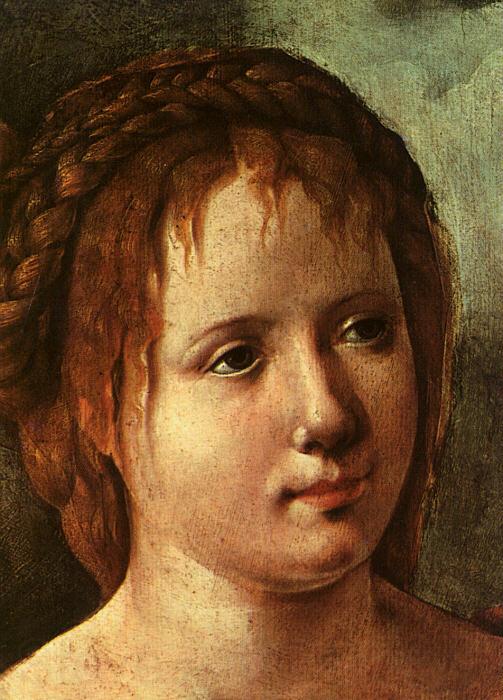 Jan van Scorel Head of a Young Girl France oil painting art